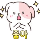 자이사랑세탁 이미지