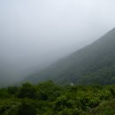 개나리온천 이미지