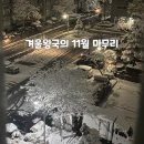 일상) 겨울왕국의 11월 마무리
