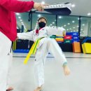 하임태권도장 이미지