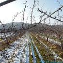 중우농장 이미지