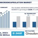 크린렌드 이미지