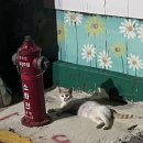 태일카서비스 | 우리는 몇 장짜리 책일까