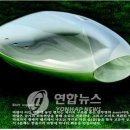 디자인피리 이미지