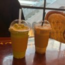 청주고양이입양지원센터 애니멀공화국 이미지