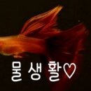 에스아쿠아 앤 카페