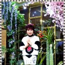 제주 아리랑 이미지