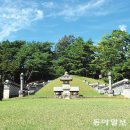 무심아트 동아일보