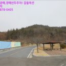 오림동 내동 네이버블로그