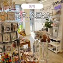 111호프로젝트 이미지