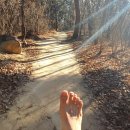 발이야기 이미지