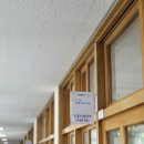 다선중학교 | [곤충사육사 진로 강사 이경훈]부산 다선중학교에서 직업인 특강 진행! 곤충컨설턴트!