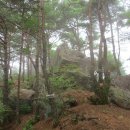 오도산자연휴양림 이미지