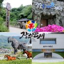 장수-11 이미지
