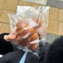 단트(DANT)