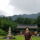 웅석봉로 이미지