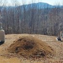 유장 양헌수묘 이미지