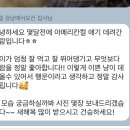 개냥이 이미지