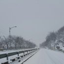 천안 삼성SDI 갔다가 남천안ic쪽 거래처....눈이 ㅜㅜ 이미지