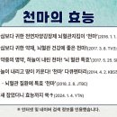 천마유통