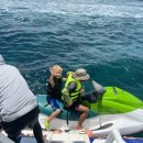 한바다플러스 이미지