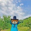 안재경약국 이미지