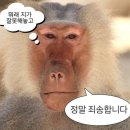 경숙분식 | 요즘 생활, 11월 리뷰