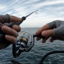 갯바위 민박 이미지