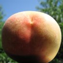 덕우농장 이미지