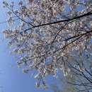 석남완충녹지공원 이미지