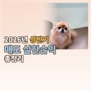 (주)케이티에스테크 | 일본 주식 초보의 2026년 상반기 주식 매도 실현손익 총정리