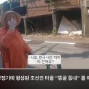 일제강점기 때부터 일본에 남아 사는 한국인 할머니ㅠ 이미지