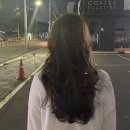 로슬린헤어 이미지