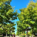 청소년푸른쉼터 화장실 이미지