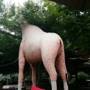 백운호수장수촌 이미지