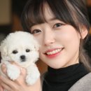 평택강아지분양고양이분양파라다이스펫