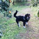 일중농장 이미지