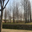 황산애견 네이버블로그