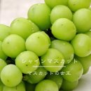 성샤인 이미지