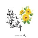 어썸라온 태권도 이미지