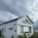 다연펜션 | 제주 애견동반 감성숙소 스테이다연 프리미엄스위트 101호 솔직후기