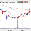 ▶흥국화재 기업정보 분석(실적과 재무상태)-흥국화재 회사의(000540)소액주주 정보-새로운 정보 계속 업데이트 이미지