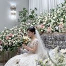 [내돈내산] 대구 아이폰스냅 썸타임즈 후기 / feat. 대구 칼라디움 비올라홀