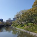 성산청과 이미지