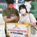 대구고양이분양테디럽