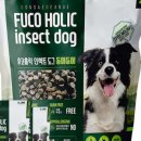 도그홀릭 이미지