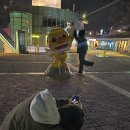 콜프로스터스 이미지