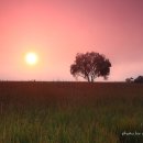 공룡알화석지방문자센터 이미지