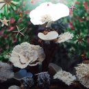 땅끝해양자연사박물관 이미지