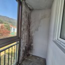 주식회사 간부 | 군인 아파트 청소 이야기 (대전 입주청소업체 클린 몬스터즈)